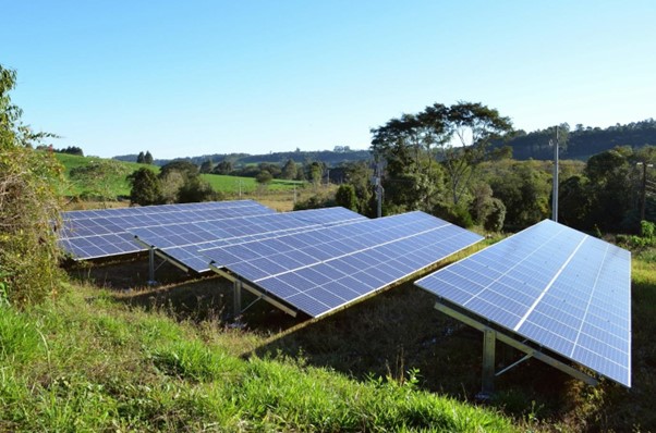 Panneaux solaires photovoltaïques installés au sol