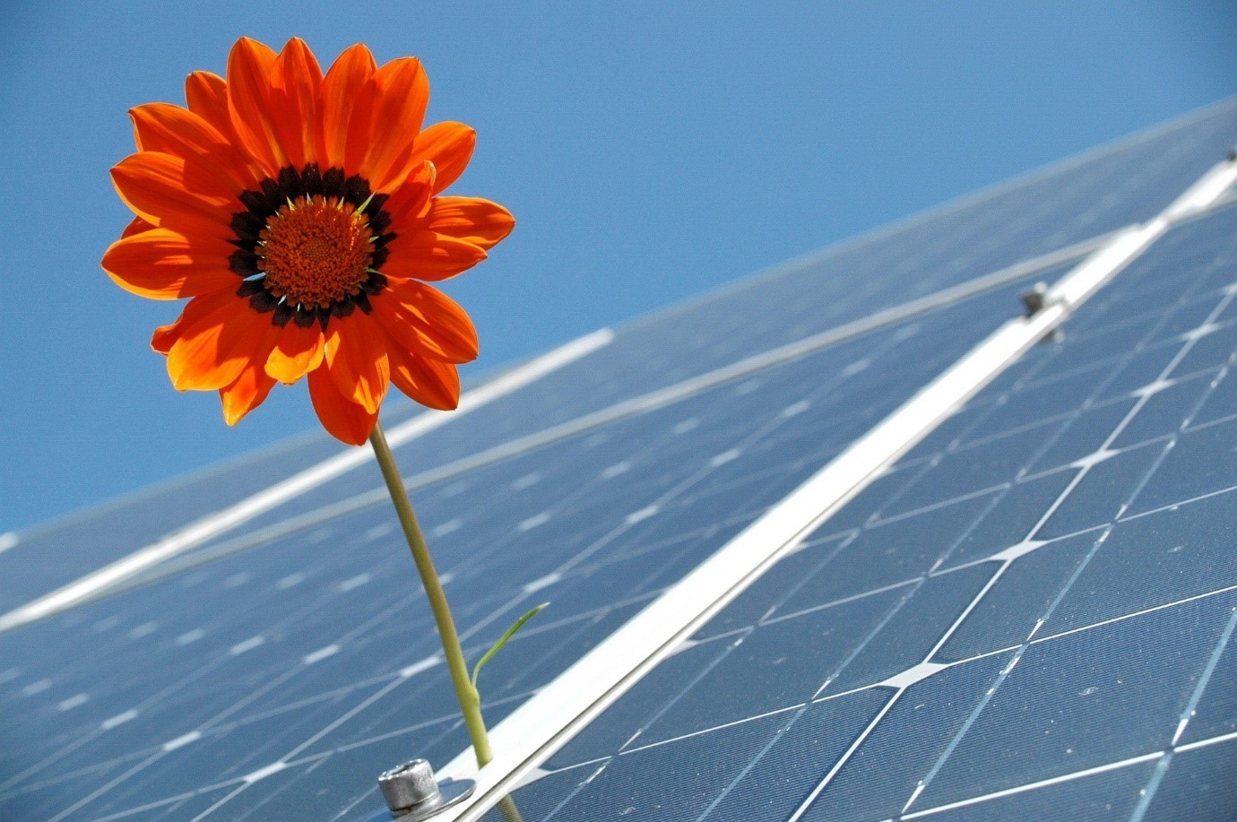 Série de panneaux photovoltaïques raccordés à un onduleur solaire. Image par Klaus-Uwe Gerhardt de Pixabay.