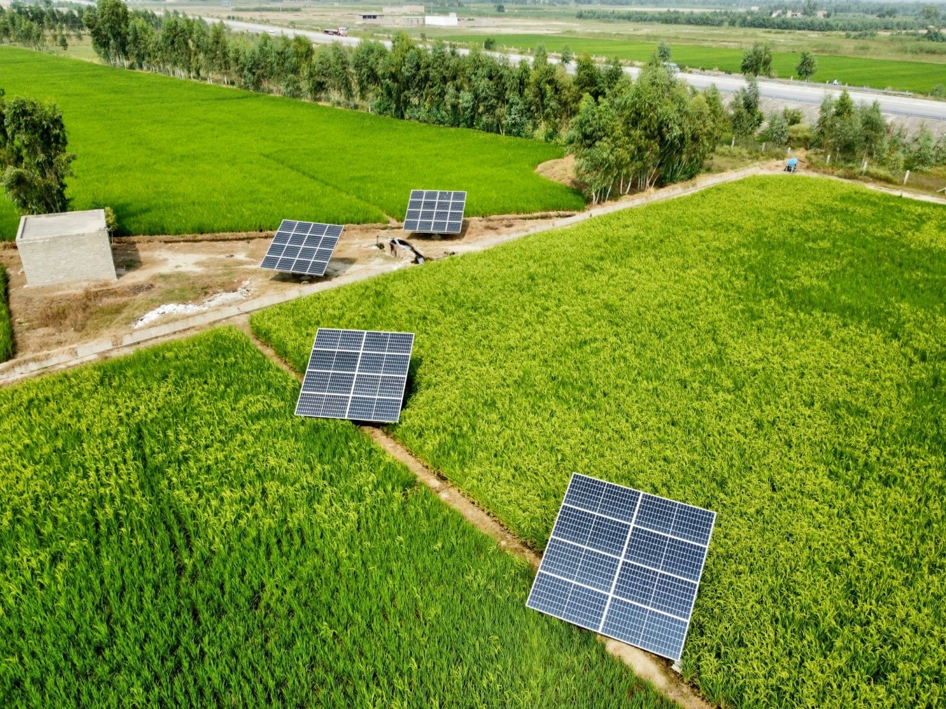 Alt=»Panneau solaire au sol. Plusieurs séries de panneaux solaires installées au sol.»