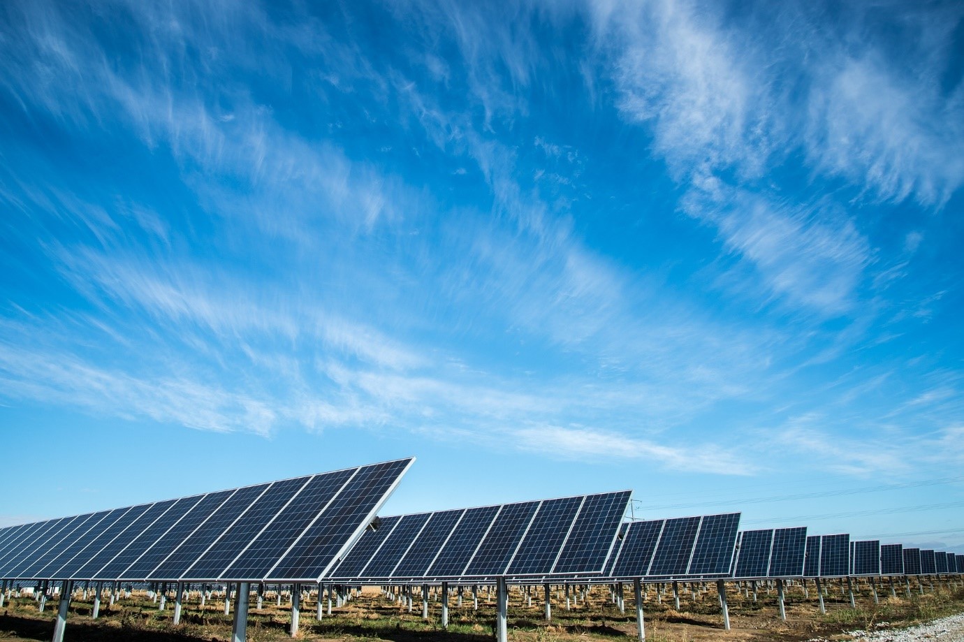 Alt=»Panneau solaire bifacial. Nombreux panneaux solaires avec un angle d'orientation important.»