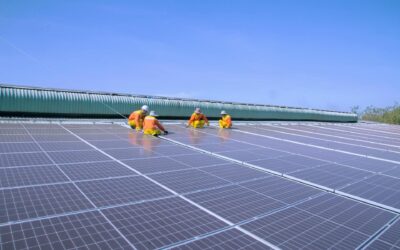 Performance des panneaux solaires photovoltaïques et climat : tout savoir