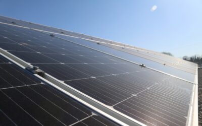 Comment optimiser le rendement d’une cellule photovoltaïque : 5 étapes à connaître