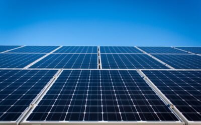 EDF OA : tout savoir sur l’obligation d’achat solaire