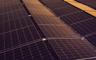Panneau solaire chinois : guide pour tout savoir